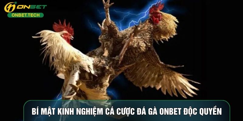 Bí mật kinh nghiệm cá cược đá gà ONBET độc quyền