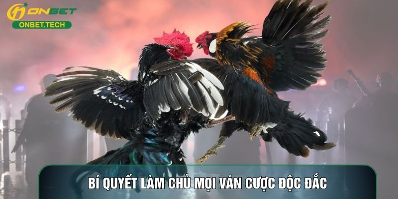 Bí quyết làm chủ mọi ván cược độc đắc Bí quyết làm chủ mọi ván cược độc đắc