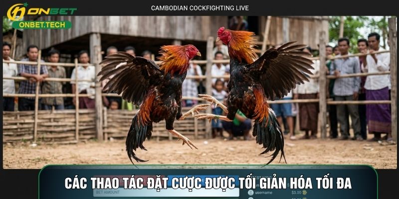 Các thao tác đặt cược được tối giản hóa tối đa