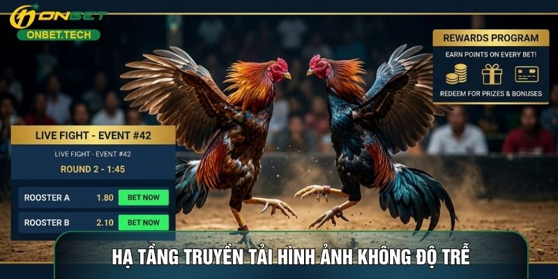 Hạ tầng truyền tải hình ảnh không độ trễ