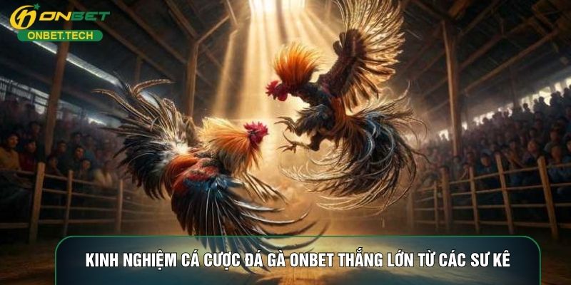 Kinh Nghiệm Cá Cược Đá Gà ONBET Thắng Lớn Từ Các Sư Kê