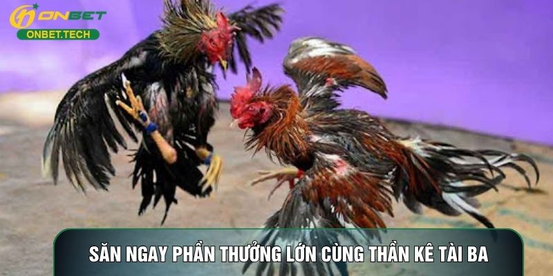 Săn ngay phần thưởng lớn cùng thần kê tài ba