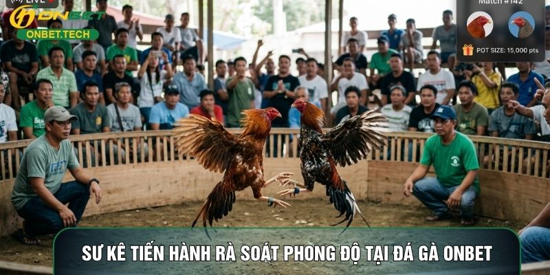 Sư kê tiến hành rà soát phong độ tại đá gà ONBET