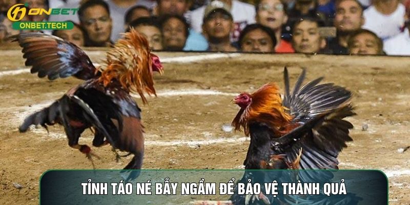 Tỉnh táo né bẫy ngầm để bảo vệ thành quả