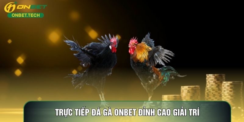 Trực tiếp đá gà ONBET đỉnh cao giải trí Trực tiếp đá gà ONBET đỉnh cao giải trí