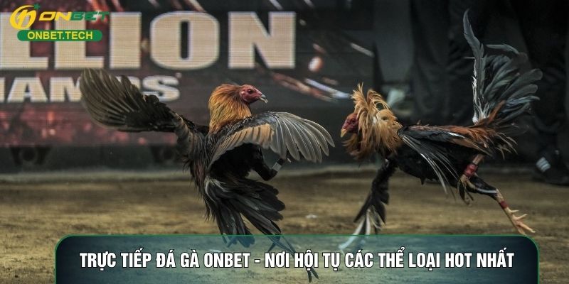 Trực Tiếp Đá Gà ONBET - Nơi Hội Tụ Các Thể Loại Hot Nhất